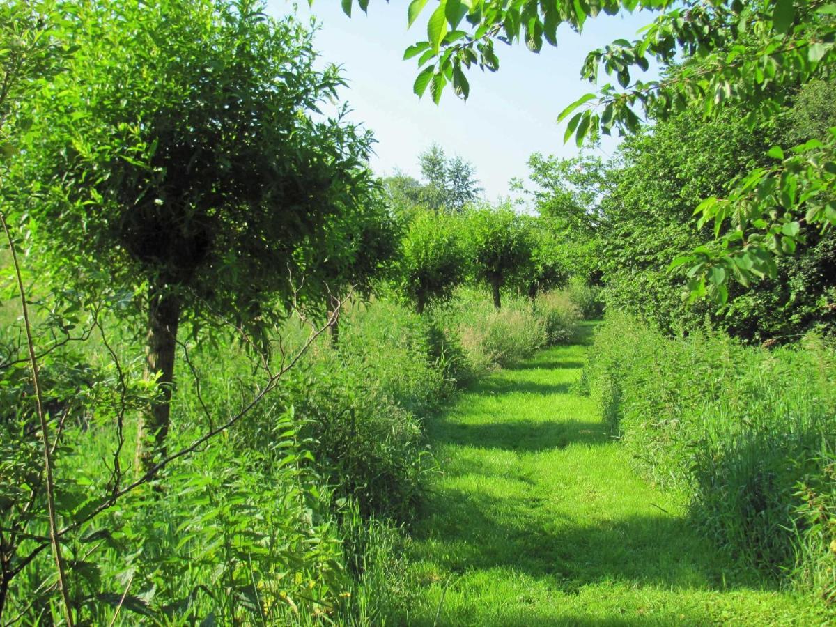 Gaestezimmer Im Engelshof, 61224 Moormerland Esterno foto